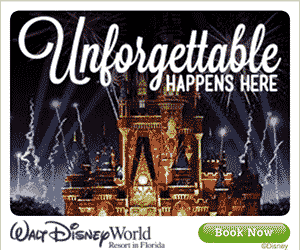 go to walt disney world