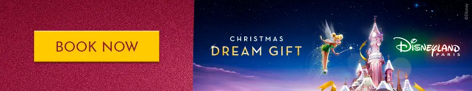 Disneyland Paris XMAS gift