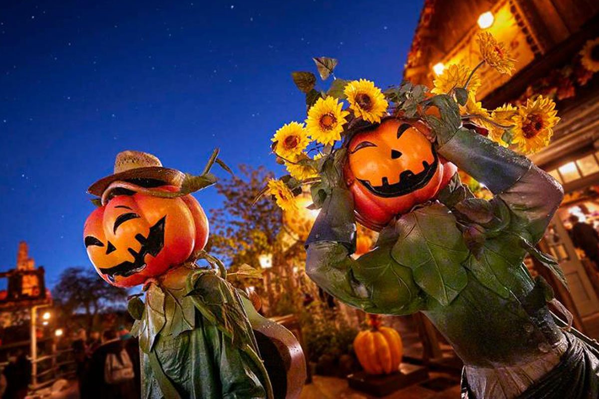 Citrouilles d'halloween à Disneyland Paris