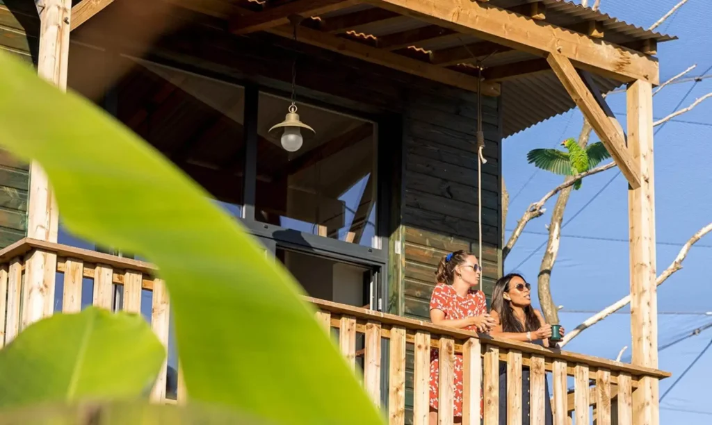 La terrasse du lodge Amazonie avec les perroquets
